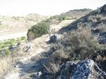 IMG_7705.JPG