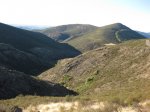 IMG_1277.jpg