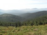 R0011310.JPG