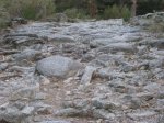 IMG_0623.jpg