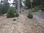 IMG_0652.jpg