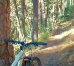 DSCN0320.JPG