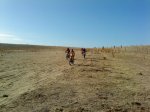 DSC00476.jpg