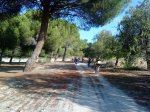 DSC00480.jpg