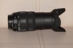 IMG_5210.JPG