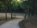 DSCN1700.jpg