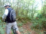 DSC00309web.jpg