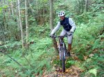 DSC00313web.jpg