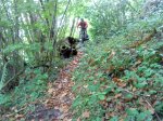DSC00314web.jpg