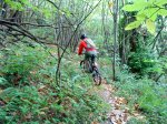 DSC00318web.jpg