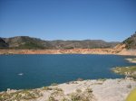 IMG_1390.jpg
