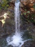 IMG_1400.jpg
