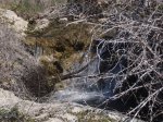 IMG_1413.jpg