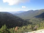 DSC00594.jpg