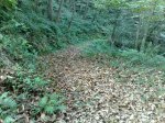 12102009169.jpg