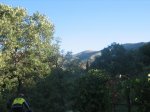 IMG_4473.jpg