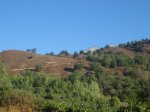 IMG_4474.jpg