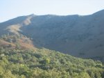 IMG_4475.jpg