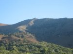 IMG_4476.jpg