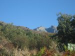 IMG_4480.jpg