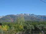 IMG_4496.jpg