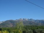 IMG_4497.jpg