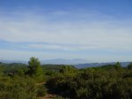 DSC02660.JPG