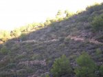 salida 12-10-09 013 [Desktop Resolution].jpg
