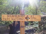 salida 12-10-09 033 [Desktop Resolution].jpg