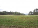 SNC00392.jpg