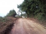 SNC00395.jpg