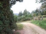 SNC00408.jpg