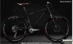 CUBE LTD TEAM 844 euros.JPG