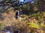DSC00072.JPG