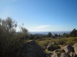 DSC00581.jpg