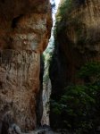 DSC04164.jpg