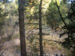 Foto12.JPG