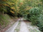 Image00017.jpg