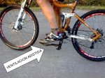 Imagen0123.jpg