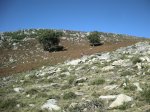 DSCN4913 (Large).JPG