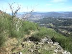 DSCN4917 (Large).JPG