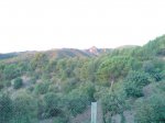 DSC03494.JPG