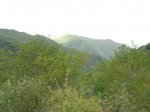 DSCN1573 (Large).JPG