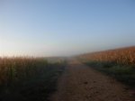 DSCN1642 (Large).JPG
