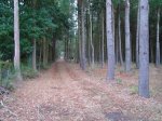 DSC04447.jpg