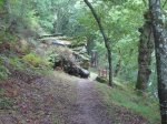 DSC04459.jpg