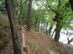 DSC04477.jpg