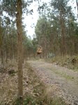 DSC04482.jpg