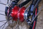 Rolhoff detalle.jpg