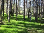 IMG_0427.jpg